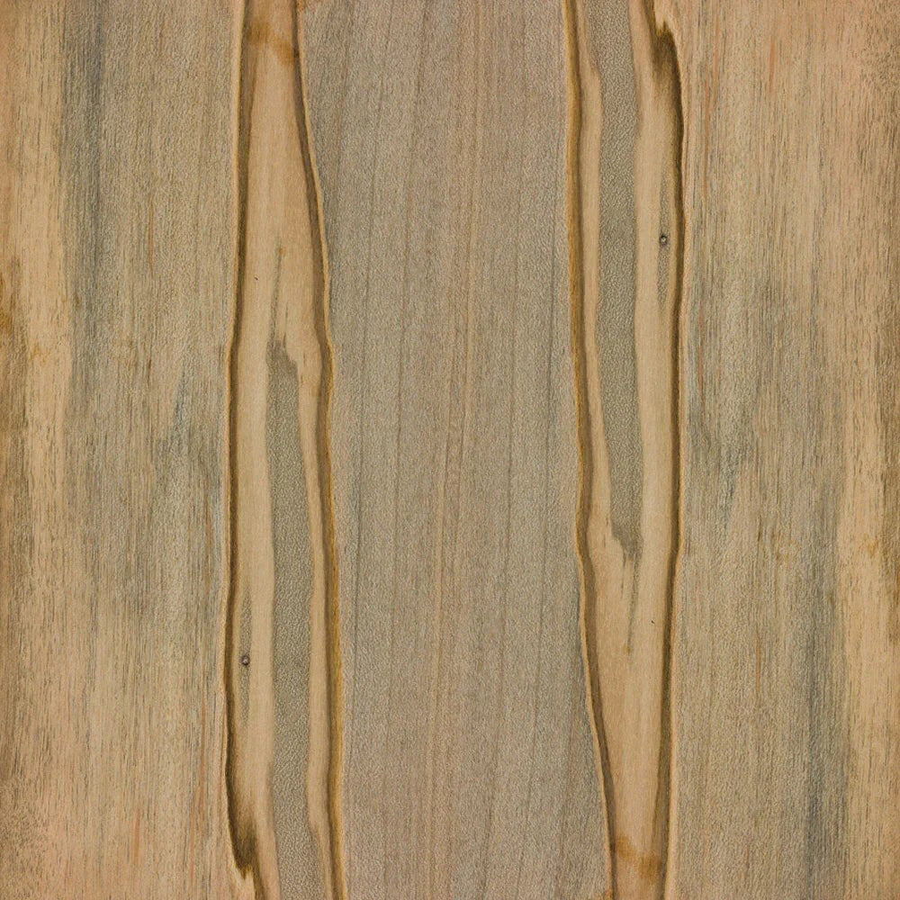 Bois Plaine Ambrosia